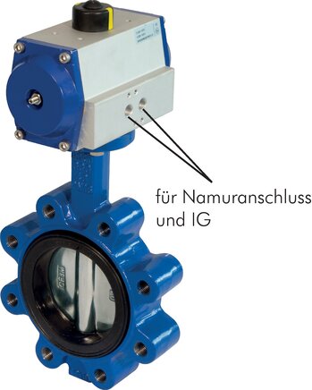 Exemplary representation: Flanged flap with pneumatic rotary actuator